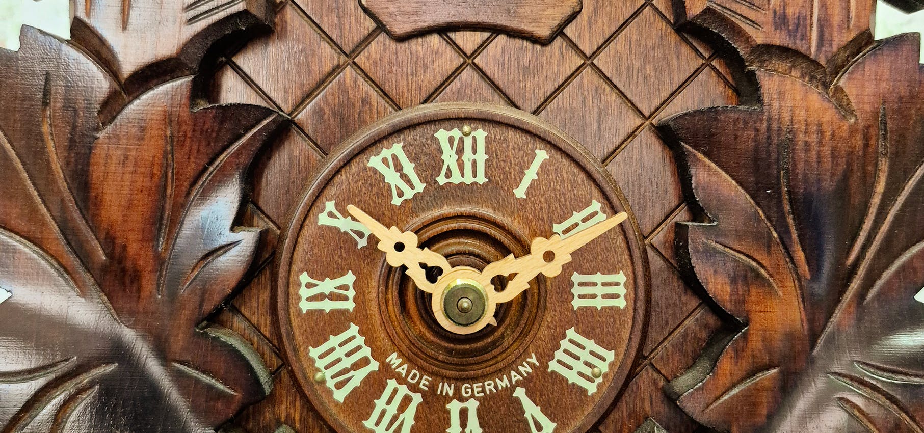 pexels-photo-29415595